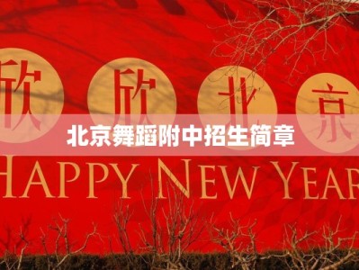 北京舞蹈附中招生简章