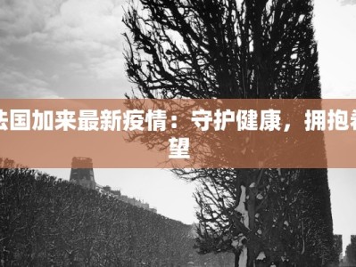 武汉抗击疫情方案最新