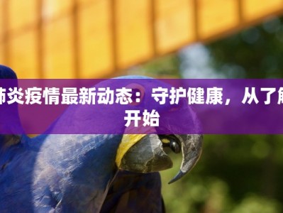 宁夏石塘最新疫情防控：守护家园，科学同行