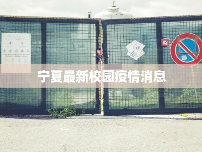 金州舞蹈学校：舞动梦想，绽放光彩