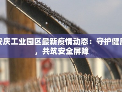 安庆工业园区最新疫情动态：守护健康，共筑安全屏障
