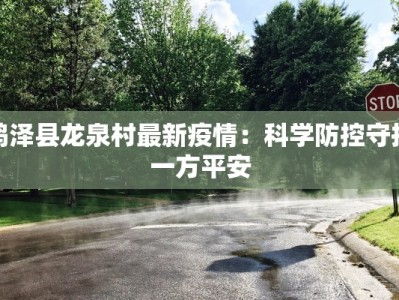鸡泽县龙泉村最新疫情：科学防控守护一方平安