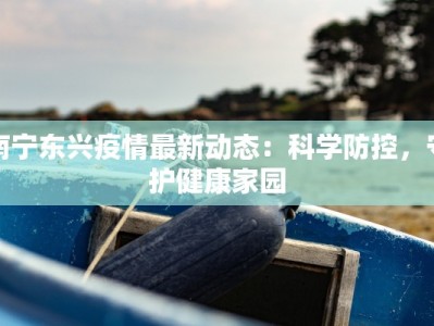 荷兰南非最新疫情：跨洋联防，健康守护新纪元