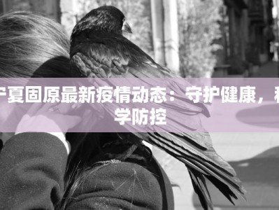 宁夏固原最新疫情动态：守护健康，科学防控