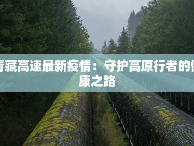 青藏高速最新疫情：守护高原行者的健康之路