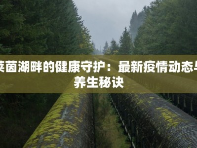 莱茵湖畔的健康守护：最新疫情动态与养生秘诀