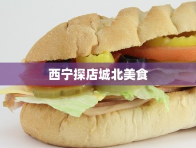 西宁探店城北美食