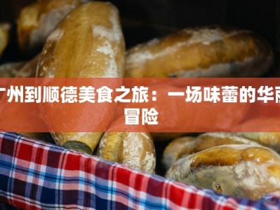 广州到顺德美食之旅：一场味蕾的华丽冒险