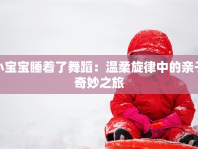 小宝宝睡着了舞蹈：温柔旋律中的亲子奇妙之旅