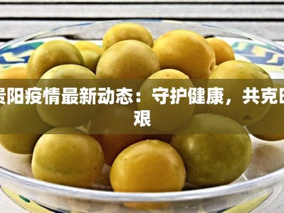 贵阳疫情最新动态：守护健康，共克时艰