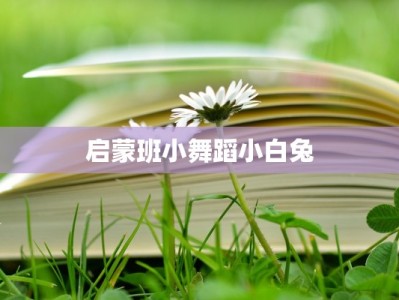 启蒙班小舞蹈小白兔