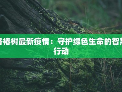 三仓区最新疫情通报