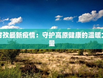 甘孜最新疫情：守护高原健康的温暖力量