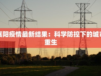襄阳疫情最新结果：科学防控下的城市重生