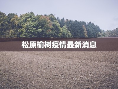 松原榆树疫情最新消息