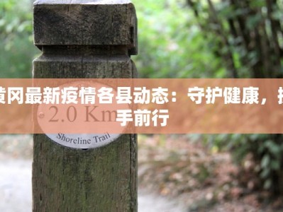 黄冈最新疫情各县动态：守护健康，携手前行