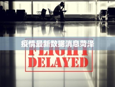 疫情最新数据消息菏泽