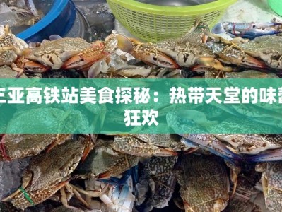 三亚高铁站美食探秘：热带天堂的味蕾狂欢
