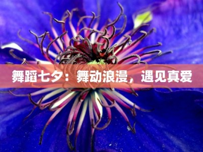 舞蹈七夕：舞动浪漫，遇见真爱