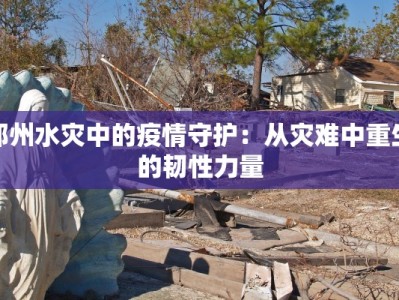 郑州水灾中的疫情守护：从灾难中重生的韧性力量