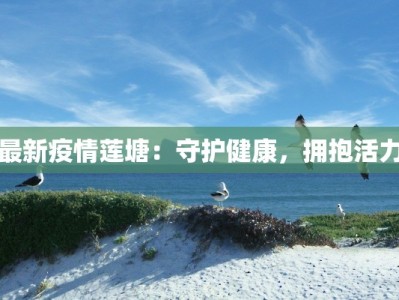 最新疫情莲塘：守护健康，拥抱活力