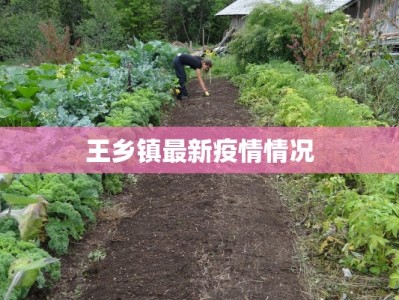 新疫情最新消息南浔：守护家园的温暖力量