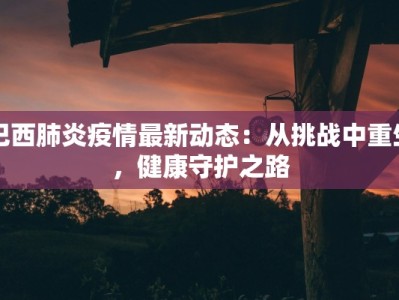 巴西肺炎疫情最新动态：从挑战中重生，健康守护之路