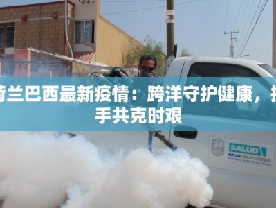 荷兰巴西最新疫情：跨洋守护健康，携手共克时艰