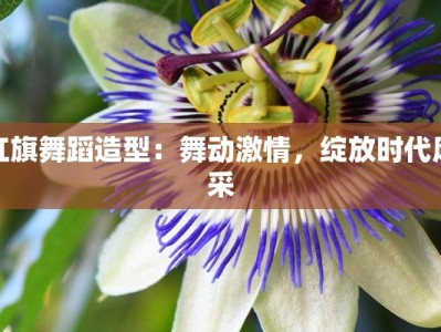 红旗舞蹈造型：舞动激情，绽放时代风采