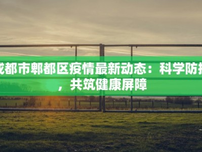 成都市郫都区疫情最新动态：科学防控，共筑健康屏障