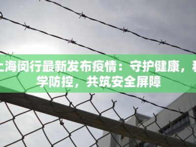 上海盛华景苑最新疫情应对指南：守护家园，健康先行