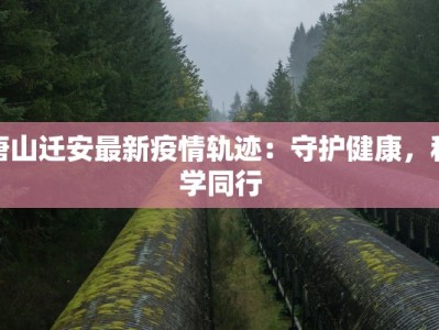 唐山迁安最新疫情轨迹：守护健康，科学同行