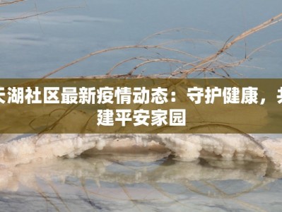 天湖社区最新疫情动态：守护健康，共建平安家园