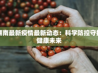 湖南最新疫情最新动态：科学防控守护健康未来
