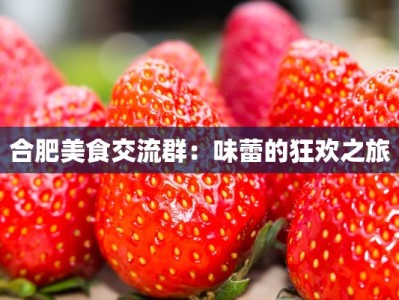 合肥美食交流群：味蕾的狂欢之旅
