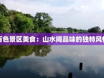 百色景区美食：山水间品味的独特风情
