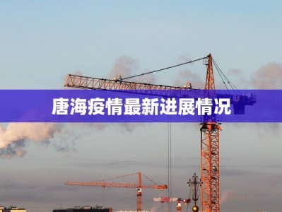 双鸭山疫情最新通知