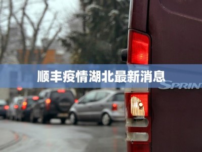顺丰疫情湖北最新消息