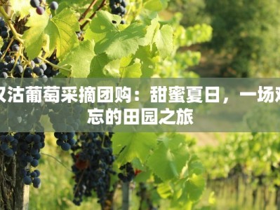 汉沽葡萄采摘团购：甜蜜夏日，一场难忘的田园之旅