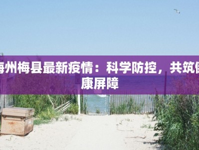 梅州梅县最新疫情：科学防控，共筑健康屏障