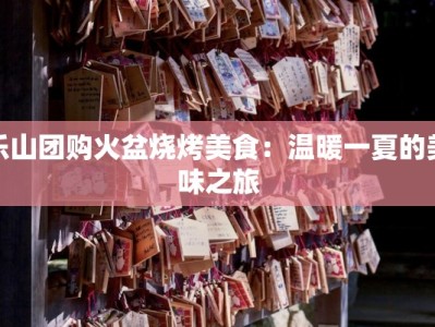 乐山团购火盆烧烤美食：温暖一夏的美味之旅
