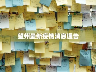 望州最新疫情消息通告