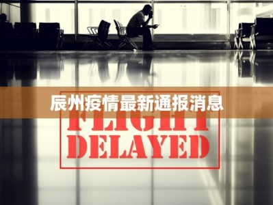 辰州疫情最新通报消息