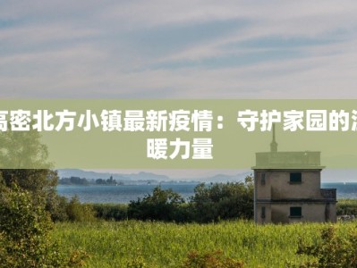 高密北方小镇最新疫情：守护家园的温暖力量