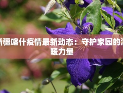 新疆喀什疫情最新动态：守护家园的温暖力量