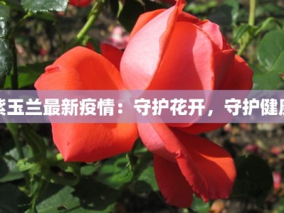 紫玉兰最新疫情：守护花开，守护健康