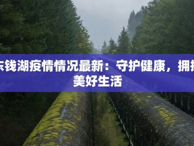 东钱湖疫情情况最新：守护健康，拥抱美好生活