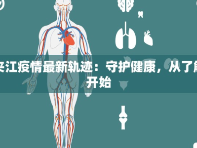 金日东苑最新疫情报道