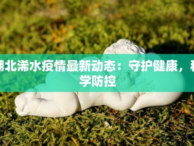 湖北浠水疫情最新动态：守护健康，科学防控