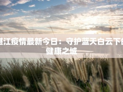 湛江疫情最新今日：守护蓝天白云下的健康之城